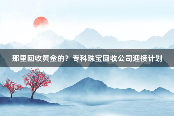 那里回收黄金的？专科珠宝回收公司迎接计划